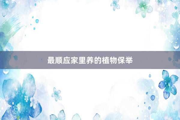 最顺应家里养的植物保举
