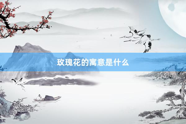 玫瑰花的寓意是什么